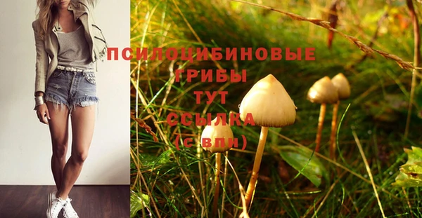 spice Магадан
