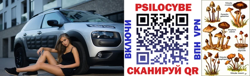 Галлюциногенные грибы Cubensis Починок